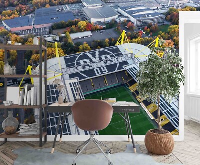 3D Stadium Sports Pattern Wallpaper Wall Murals Removable Wallpaper 29