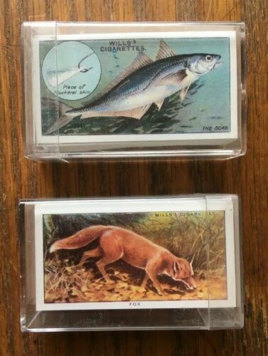 Pre - 2nd World War Fish/Sea Reproduction Collectable Cigarette Cards