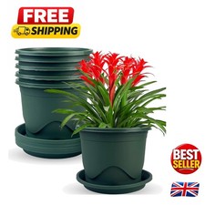 Stylish 16cm Plastic Plant Pots - 6 Pack with Drainage Trays for Healthy Growth
