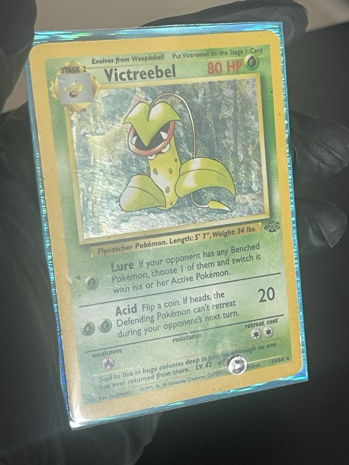 Pokemon TCG Victreebel Holo Rare Card Jungle Series 14/64