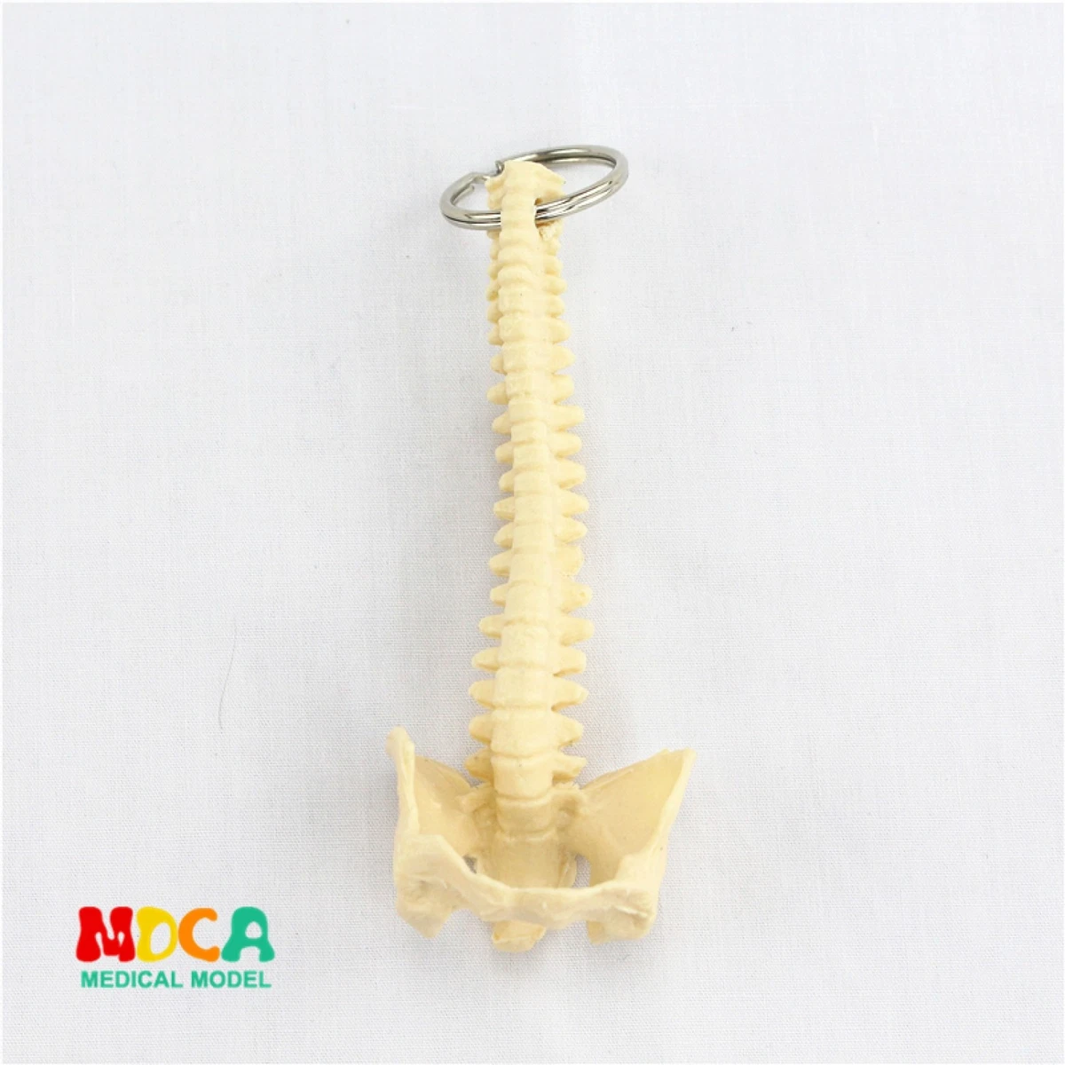 Spine keychain bulk clearance
