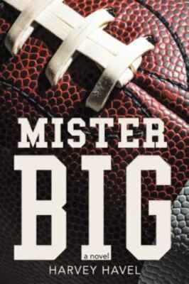 Mister Big: A Novel by 