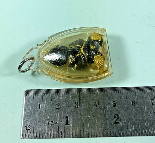VOODOO SPIRIT KUMAN THONG OIL PENDANT KHUN THEP CHARM LUCKY GAMBLING THAI AMULET - Picture 6 of 6