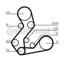 Kit de distribution Ford P 100