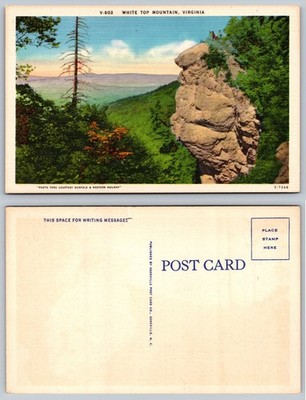 White Top Mountain Virginia Rock Overlook Postcard