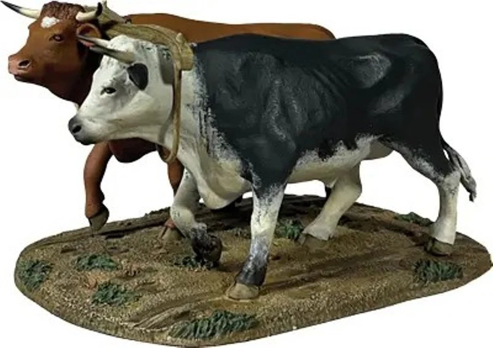 英国村庄绿色 35054 牛津青年 — 第 2/3 张图片