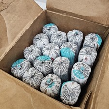 Case of 16 sausage DOWSIL 795 Silicone Sealant, Anodized Aluminum, 29687-1.