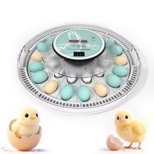 MeeF incubators for Hatching Eggs,Automatic 30 Eggs Incubator with Automatic ...