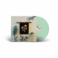 Why - Well I Fell Into - Vinyl Record Vl - G3Z