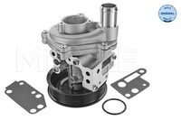 Meyle 713 220 0010 KüHlmittelpumpe, Mit Dichtung Passt Zu: Ford Transit, Land RO