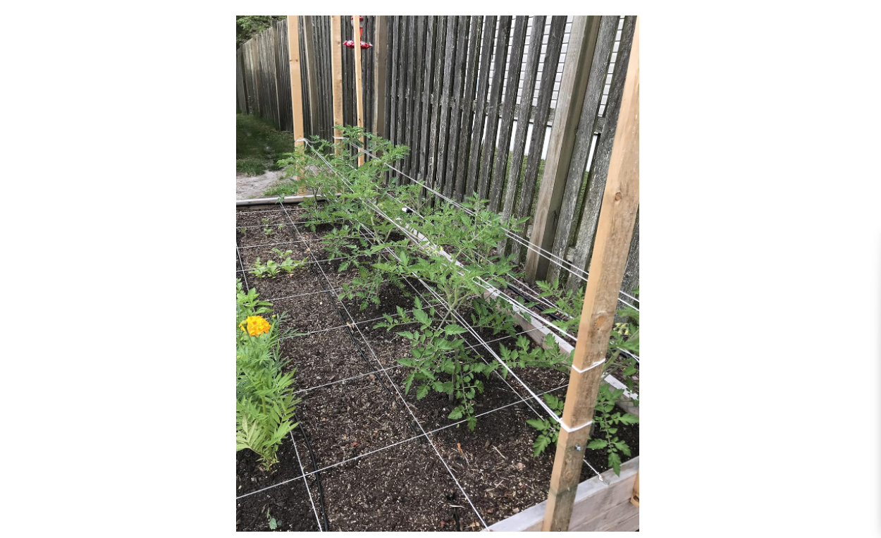 IRRIGATIONMART 6300FT Tomato Tying Garden Twine eBay