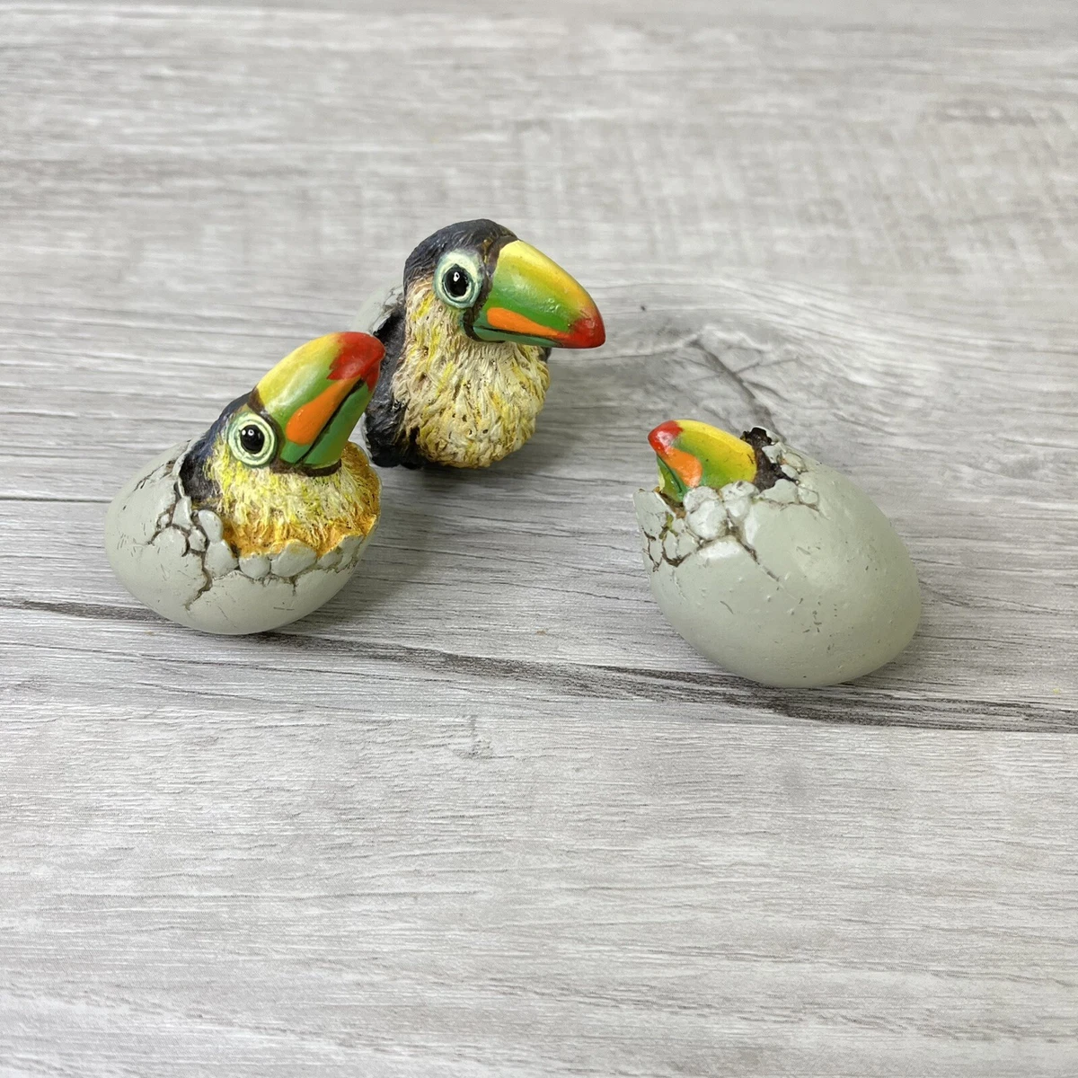 What Color Are Toucan Eggs