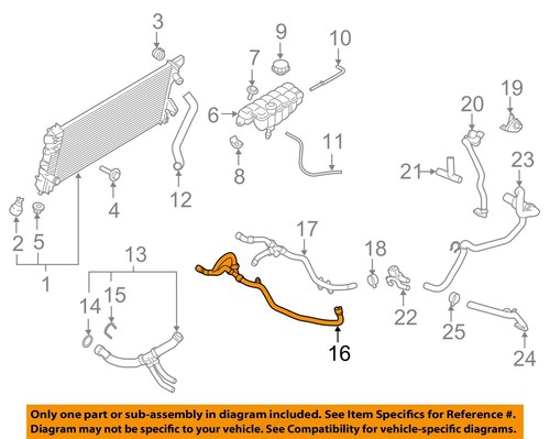 2018 - 2021 Expedition & Navigator Radiator-Upper Inlet Hose JL1Z18472B ...
