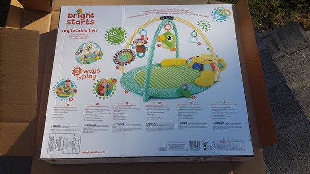 bright starts little lions activity gym