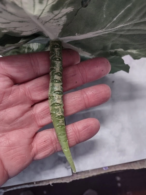 Mini rose artificial decorative cabbage. Silk Flowers - Image 4 of 4