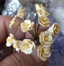 Miniature Dollhouse 1:12 Cream Flower / 12 Full Bloom Flowers smooth petals