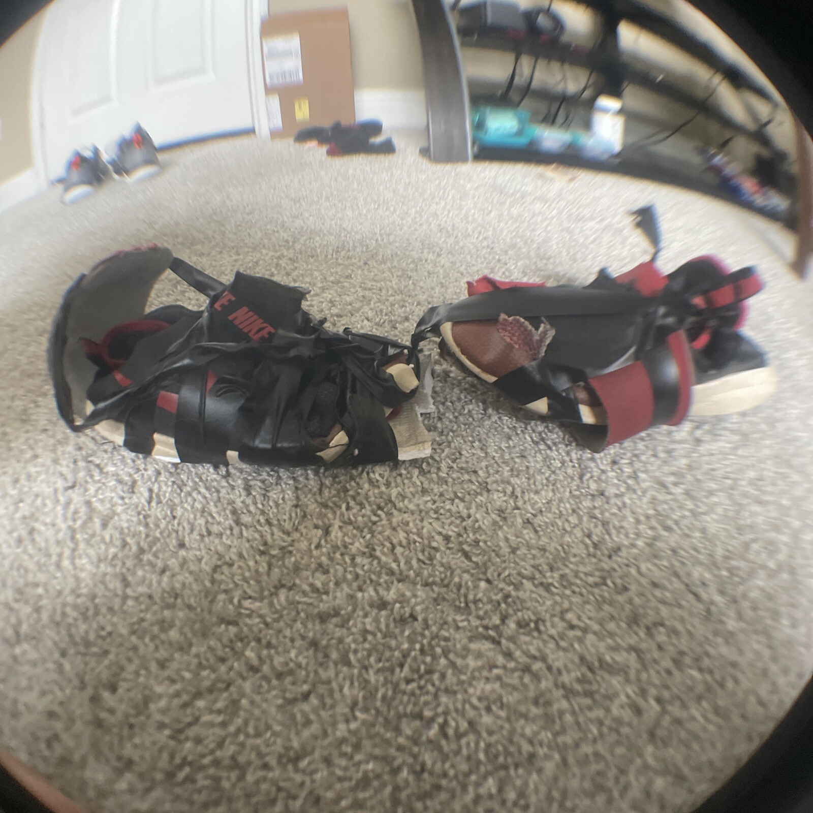 Picture 2 of 12