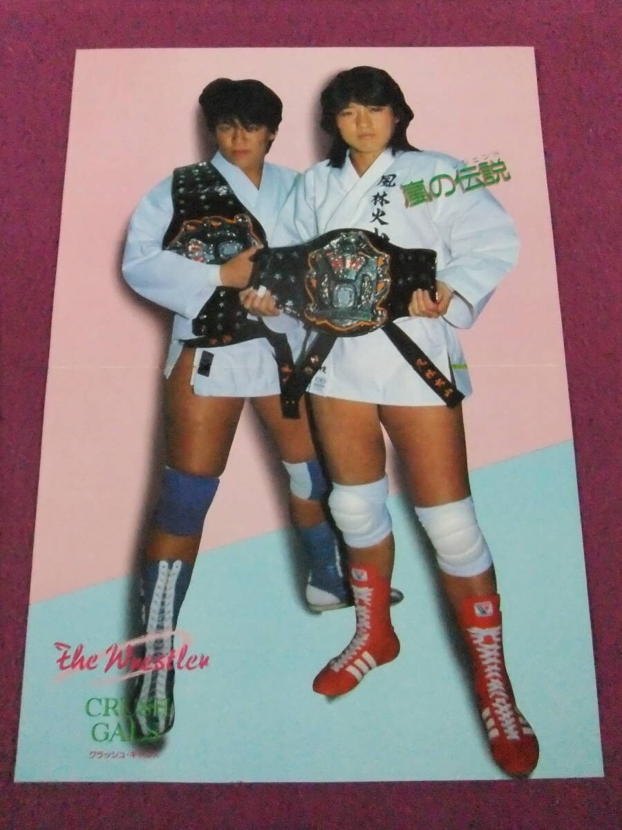 Pro Wrestling Poster/“Crash Gals” Lioness Asuka Chikusa