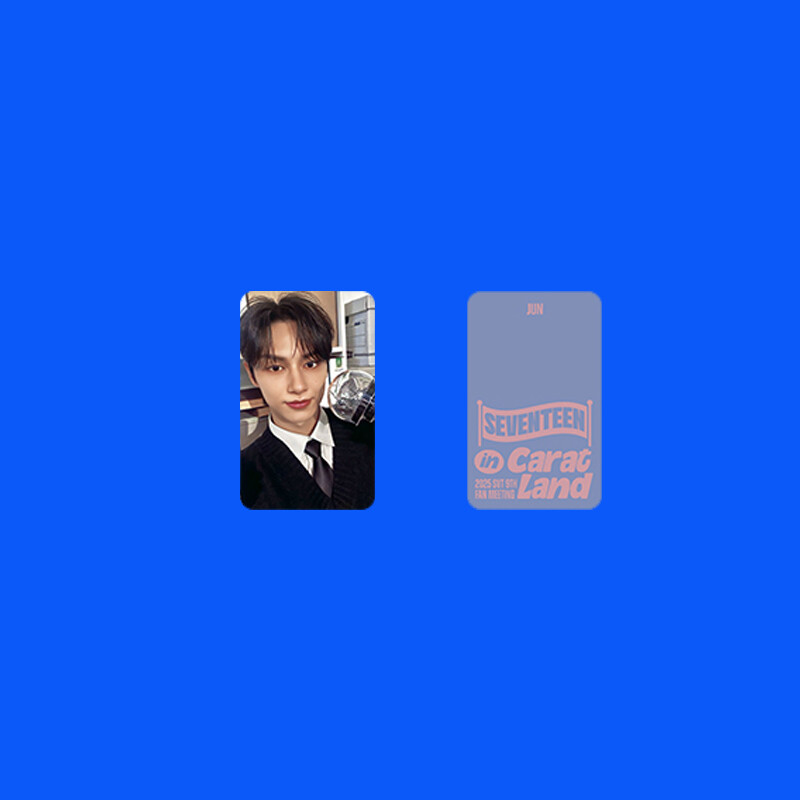 13pcs/set SEVENTEEN in CARAT Land 2025 Double-sided Self Made