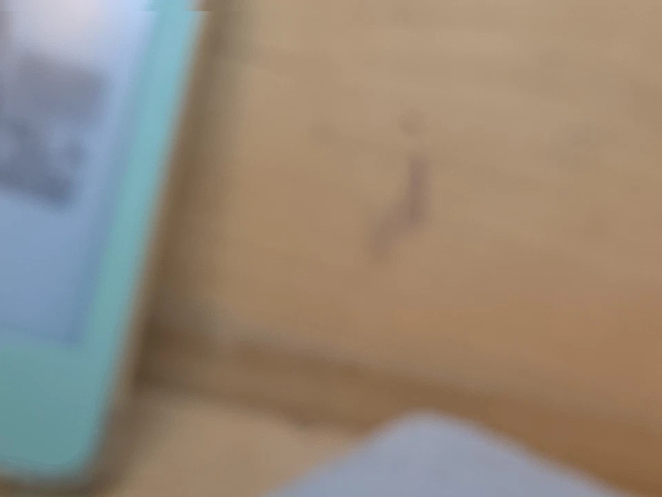 Juego de 5 enchufes macho hembra Nanaboshi 41-607 NUEVO Foto 3 de 4