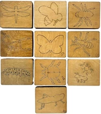 Accucut Steel Rule Dies - Insects - Pick & Choose