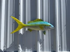 27" Yellowtail Snapper Half Mount Fish Replica - Quick Production