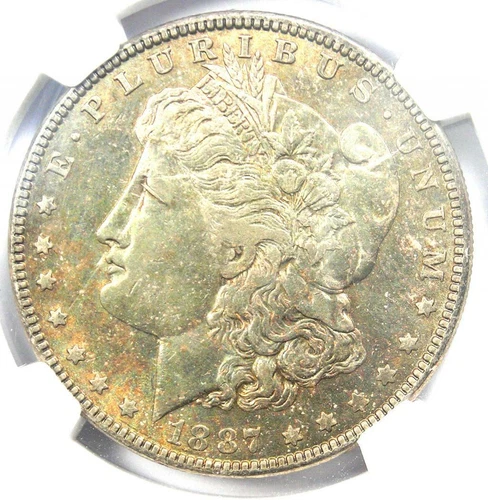 1887 Donkey Tail Morgan Silver Dollar VAM-1A - NGC AU Details - Rare Variety!
