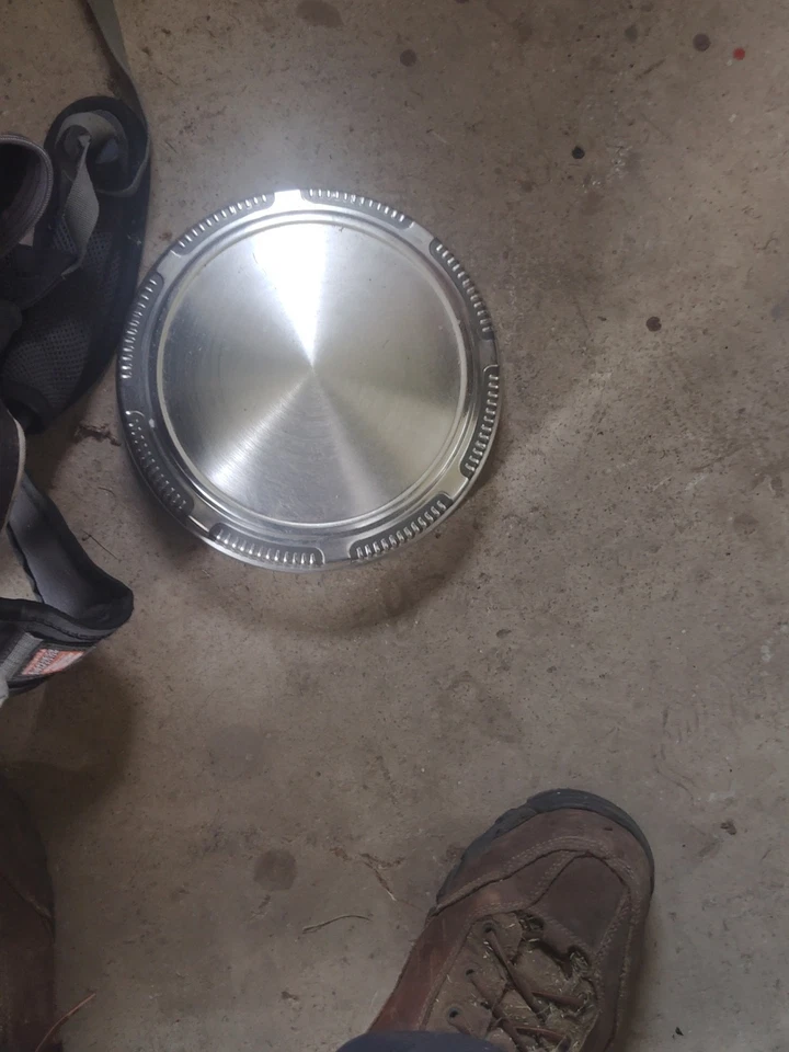 Tapacubos de plato vintage para perro Foto 2 de 2