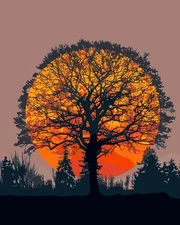 Paint by Numbers Kit for Adults, Sunset Landscape Tree Adult Paint by Number Kit