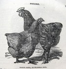 Picture 16 of 24