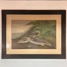 Samuel A Kilbourne Still Life Chromolithograph Fish Print in an Oak Frame