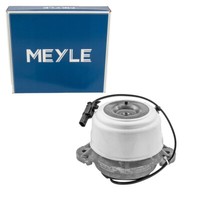 Meyle 0140240142 Motorlager FüR Mercedes C-KLASSE W204 S204 Glk X204 Links