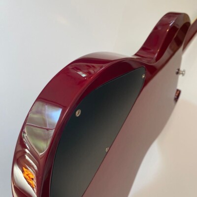 【美品】 GrassRoots Limited MODEL S-G-LP60S Grassroots S-G-Lp60S Limited Model Duncan E. Safe delivery
