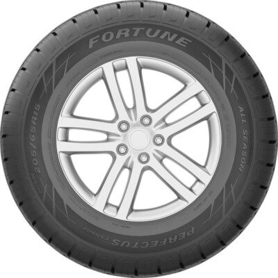 Fortune FSR602 205/60R16 Tire for sale online | eBay