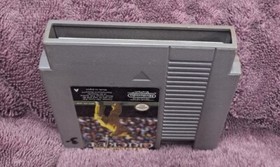 International Cricket (NES) [PAL]