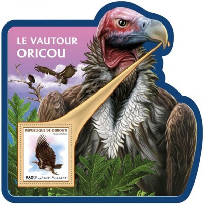 VULTURES Birds of Prey 1-Value MNH Bird Stamp Sheet #114 (2016 Djibouti ...