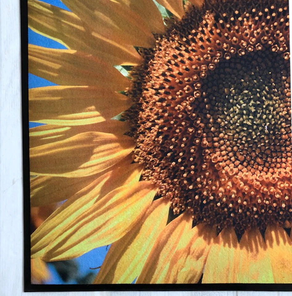 Fußmatte Schuhablage - Sonnenblume - Sunflower 45 x 60 cm Bodenmatte - Bild 2 von 3