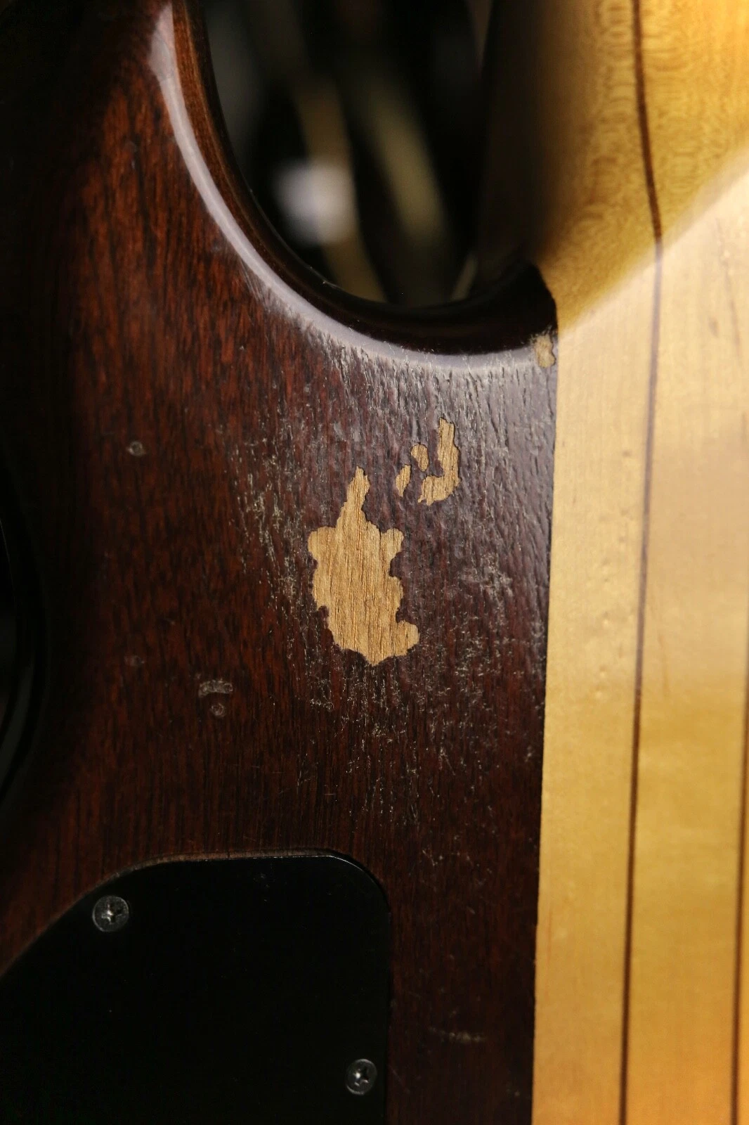 Picture 8 of 13
