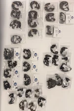 Elite Mods Many Different Models 