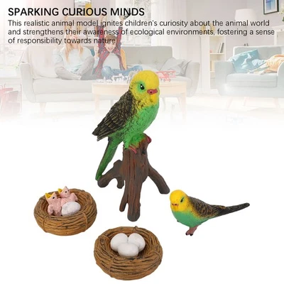 Simulierte Vogel-Tiere-Figur Lebenszyklus Realistische Papageien-Skulptur - Bild 1 von 4