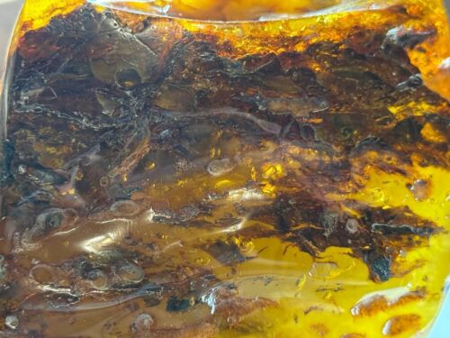Natural amber, unprocessed, Baltic amber, large piece 895 grams. - Picture 19 of 24