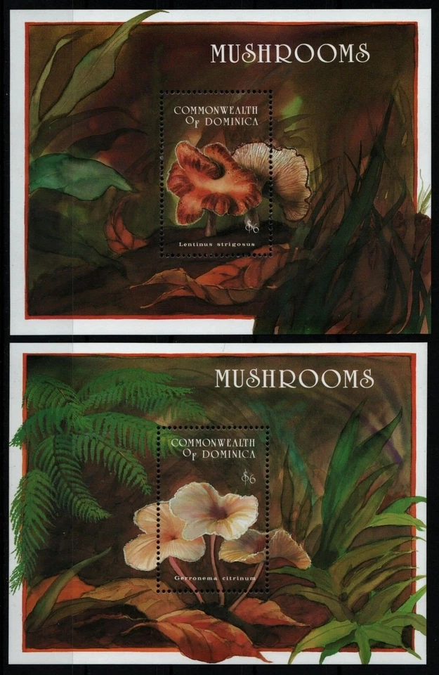 Dominica 1994 - Mi-Nr. Block 260-261 ** - MNH - Pilze / Mushrooms - Bild 1 von 1