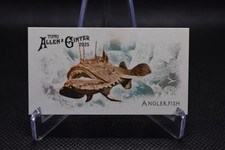 2025 Allen & Ginter 50 Fish From Global Water Anglerfish Mini #FGW-8