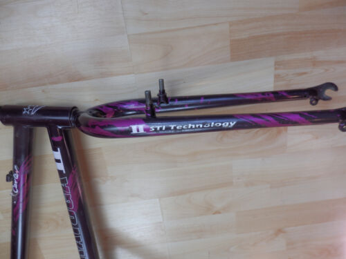 Retro Elevated chainstay 1991 Al Carter Saratoga II Frame & Forks size 48cm - Picture 11 of 24
