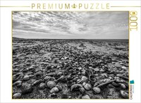 Calvendo Puzzle Muschelsucher | 1000 Teile Lege-GrößE 64X48Cm Foto-Puzzle FüR Gl