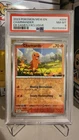 Charmander 004/165 PROMO EBGAMES EXCLUSIVE Stamp PSA 8