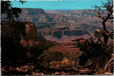 Grand Canyon Arizona Moran Point Landscape View Continental Postcard A654