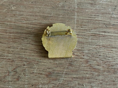 Jewish Junk Drawer Lot Badge Lapel Pin ORT Gratz College USY Negev Vtg 5 Total - Picture 6 of 24