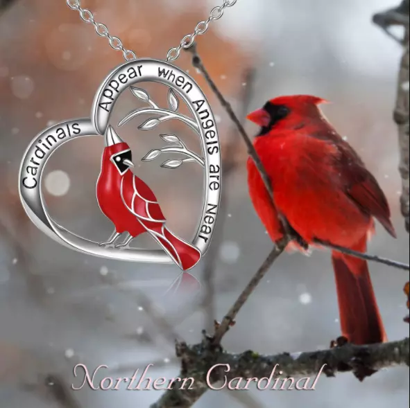 Cardinal shop necklace kohls