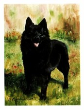 Little Captain Pet Dog Grass Notecard Set - 6 Blank Note Cards By Ruth Maystead